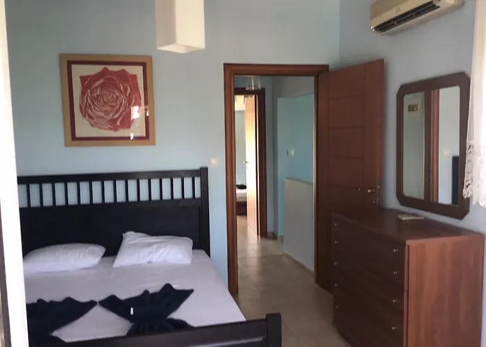 Paradise * ポリフロノ